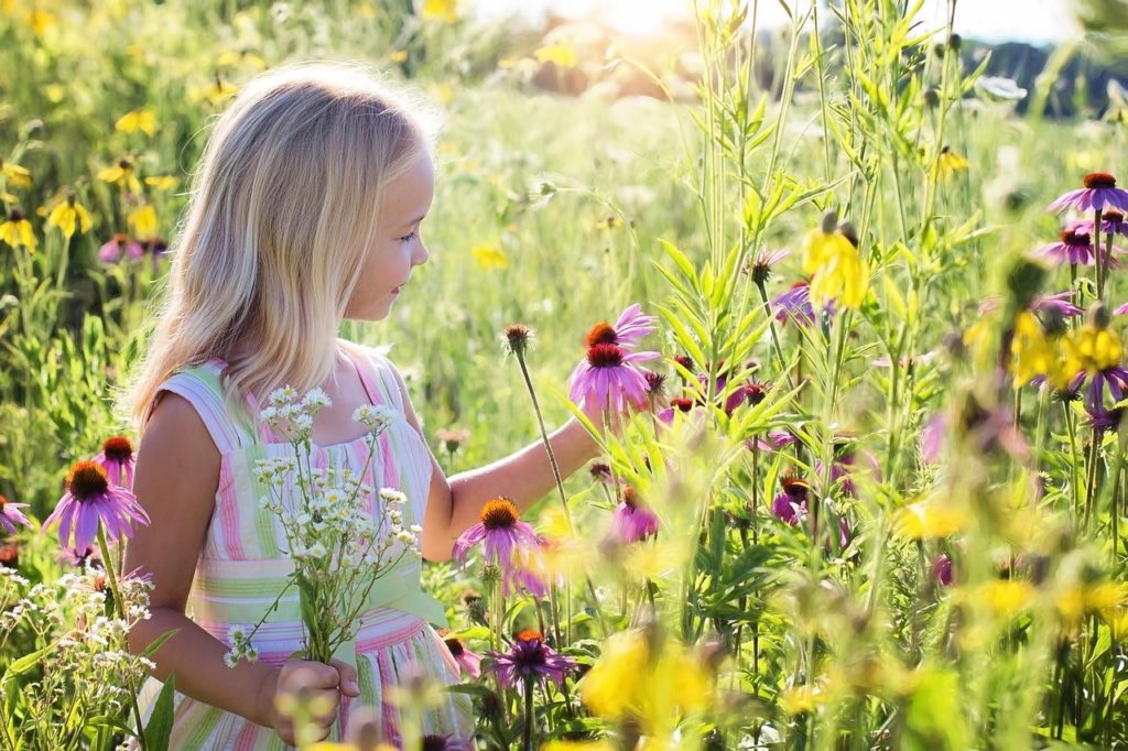 Little Girl, Wildflowers, Meadow-2516578.Jpg