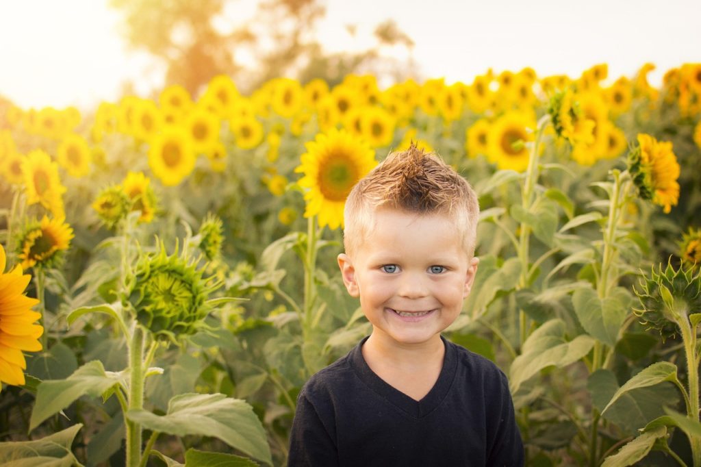 Little Boy, Sunflower Field, Sunflowers-2086910.Jpg
